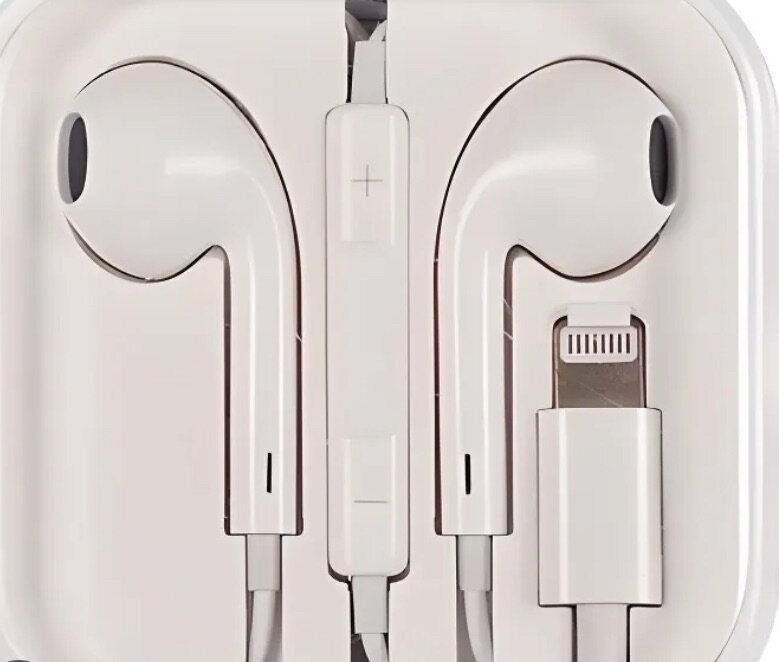 Écouteurs iPhone