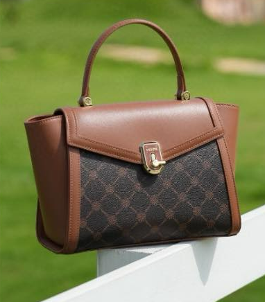 Lady’s bag