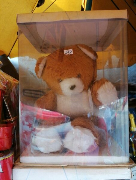 Teddy bear
