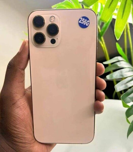 iPhone 12 Pro Max
