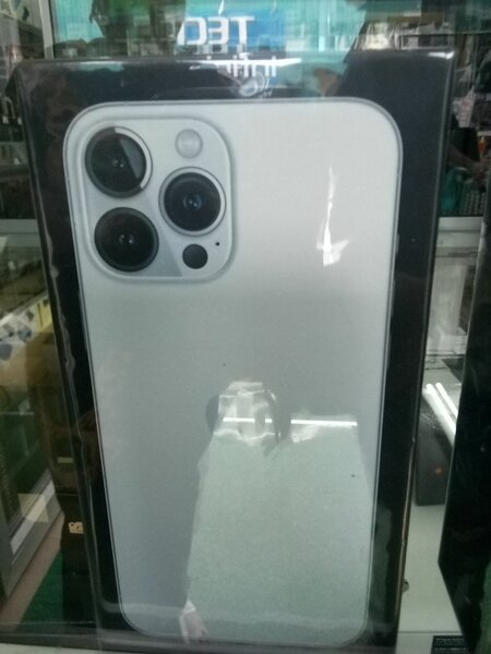 Iphone 13 promax