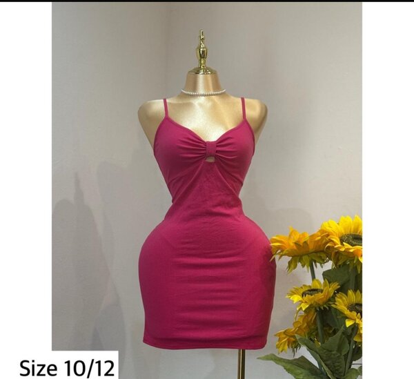 Ladies dress