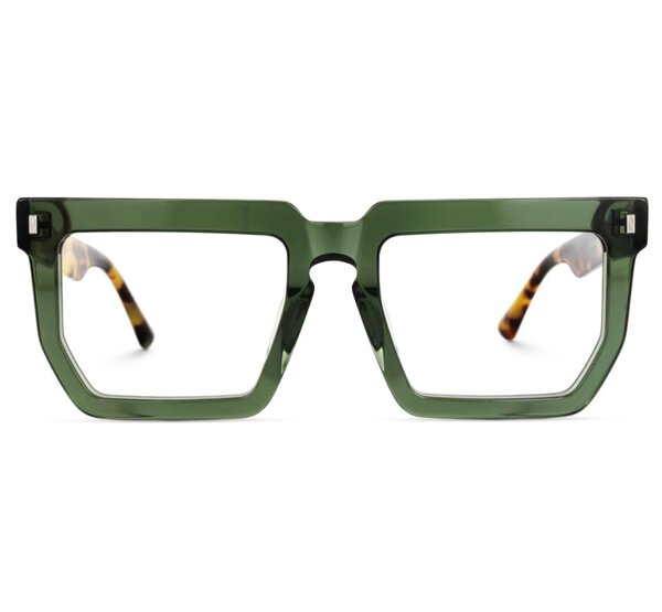 Ray acetate glasses