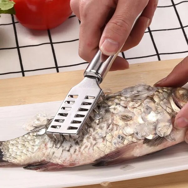 Fish scrapper