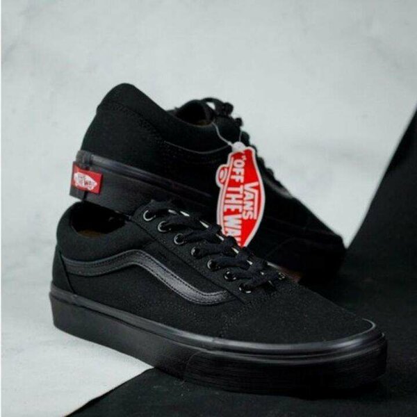 Authentic Old SkooL Vans
