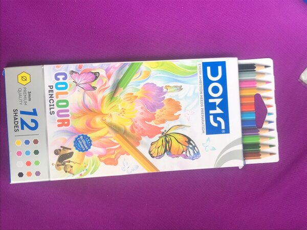Crayons de couleur DOMS 12