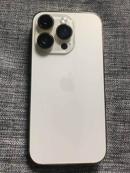 iPhone Pro Max