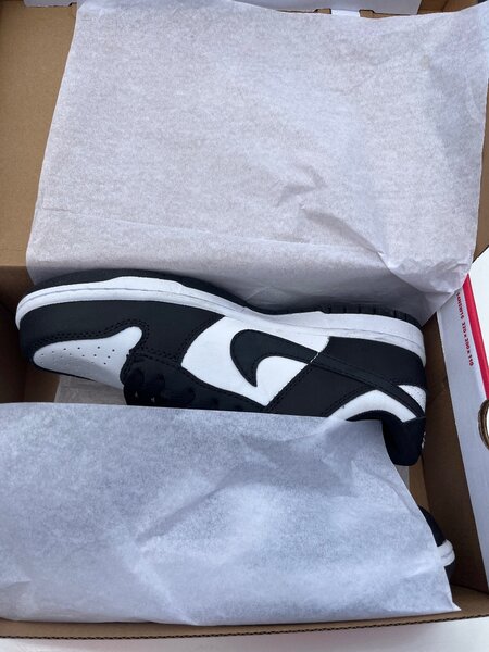 Nike sb panda