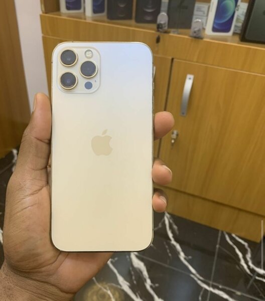 iPhone 12 pro max