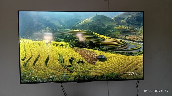 TCL Android 55 puce