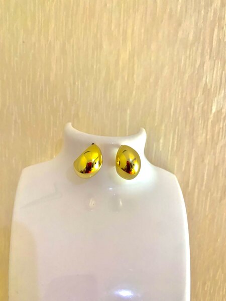 Fashion earrings