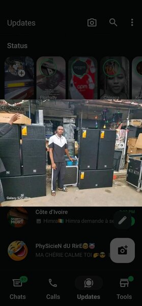 Professional Audio Speaker System
