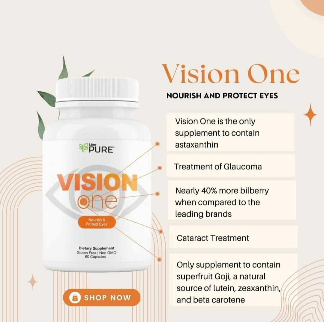 VISION ONE