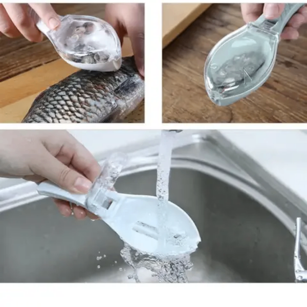 Fish scraper