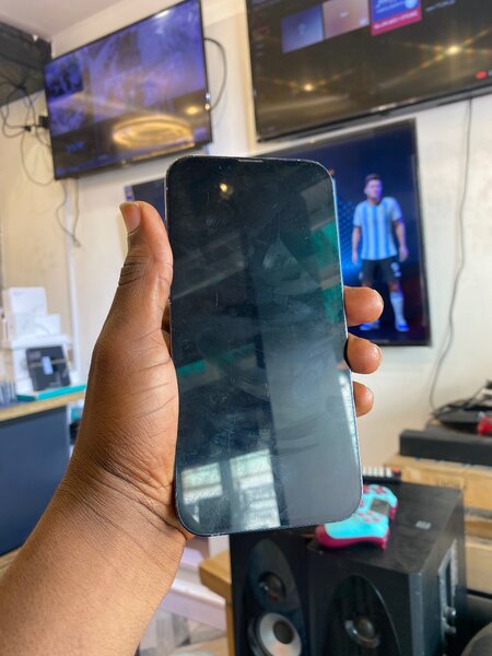 iPhone 13 Pro Max