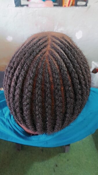 Plain Mukule