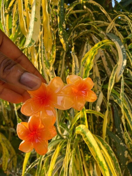 Flower hairclaw