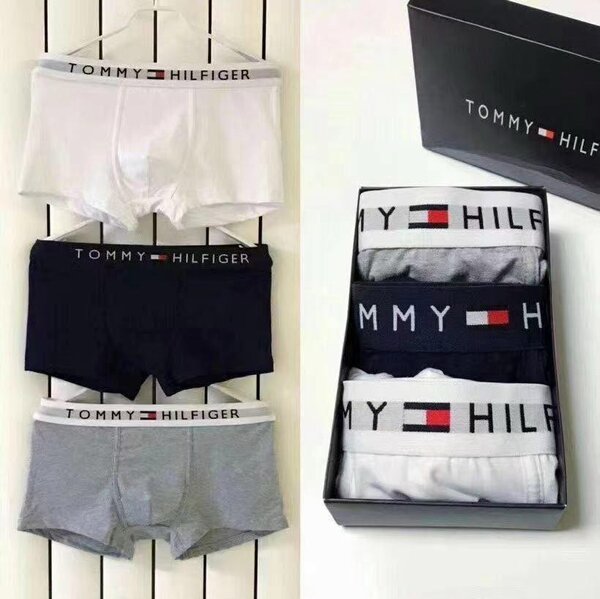 Briefs