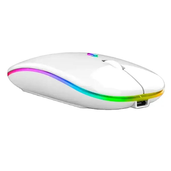 Souris sans fil Bluetooth