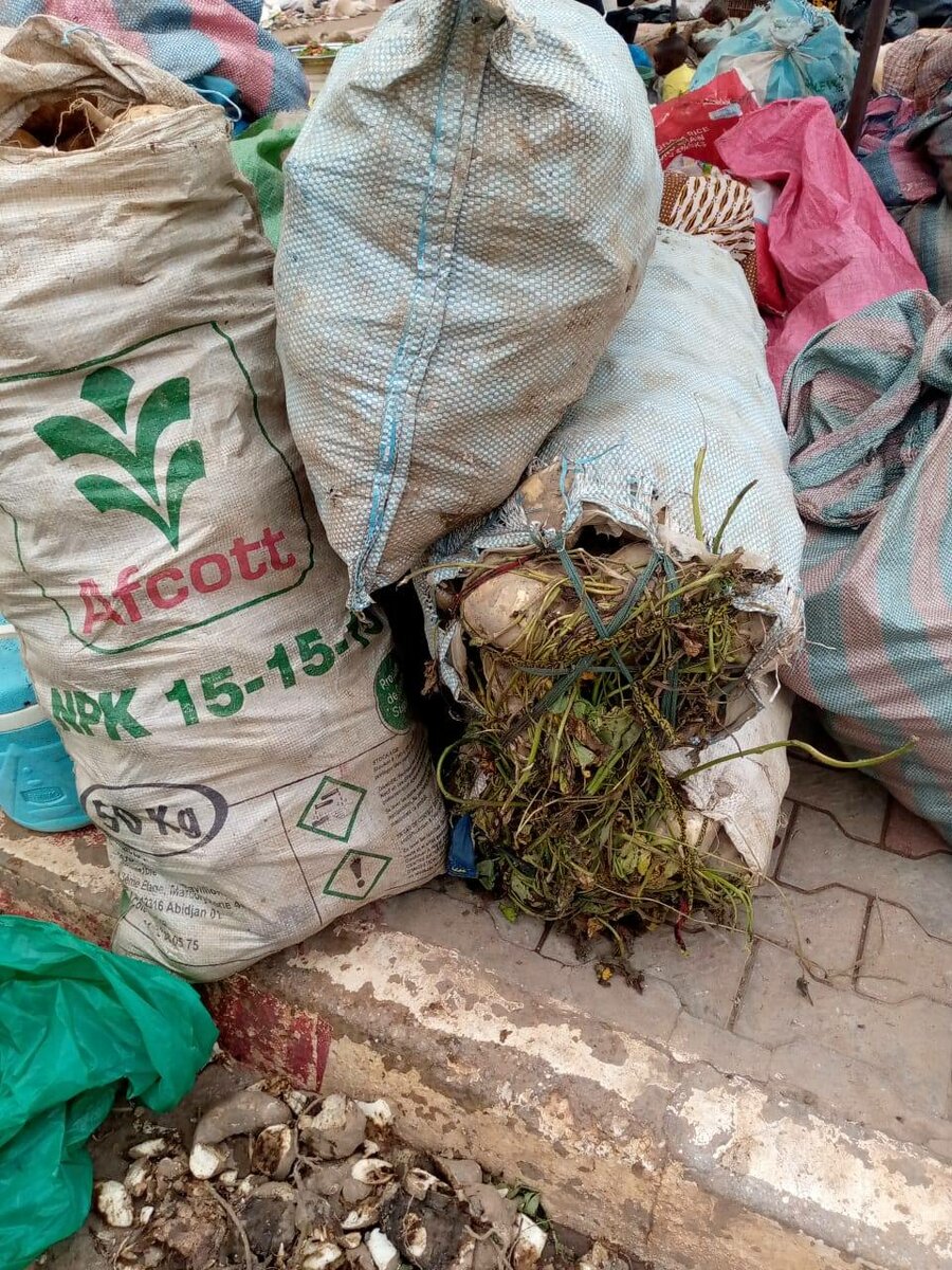 Sacs de Légumes Résistants