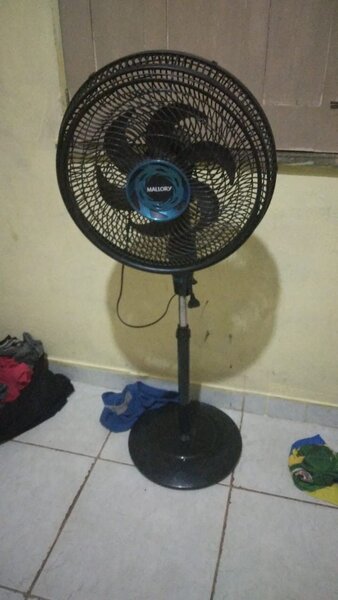 Fan