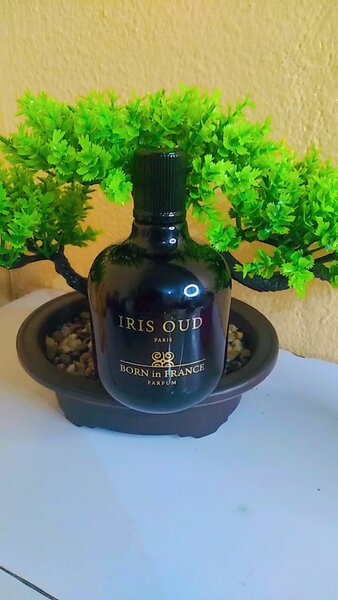 Parfum iris oud