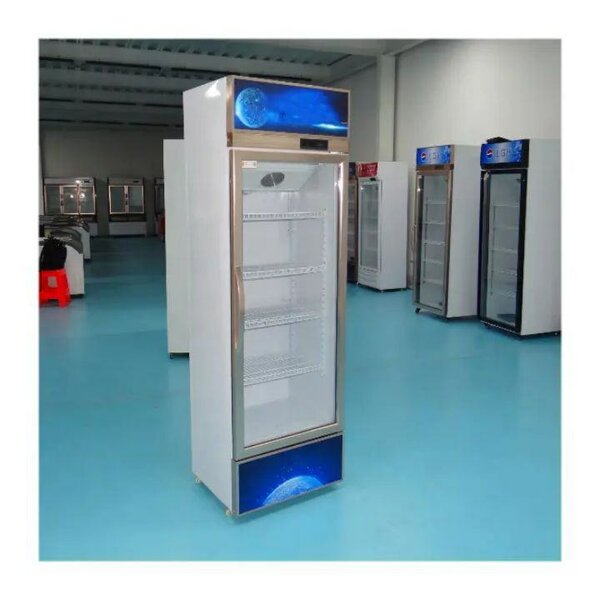 DISPLAY FREEZER