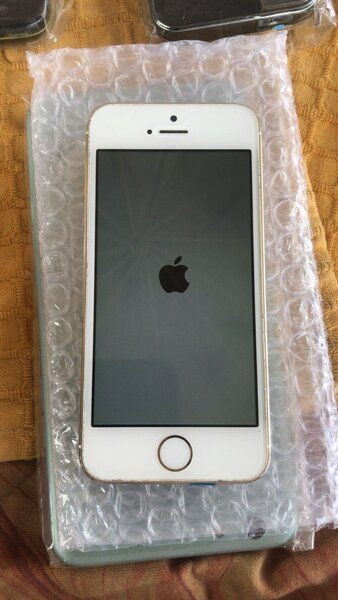 iPhone 5s  16gig