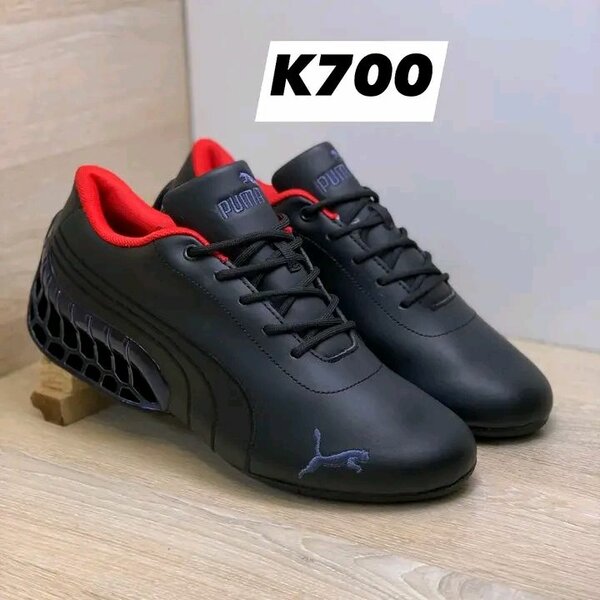 Puma sport