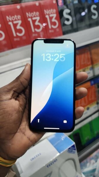iPhone 13 Pro Max