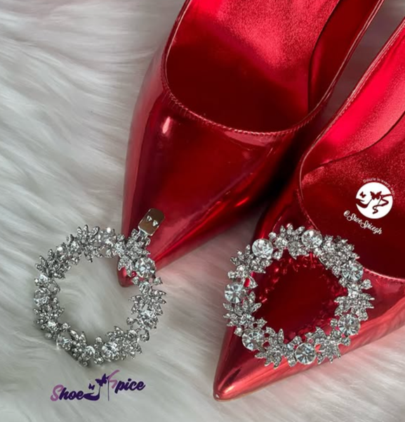 Shoe clips 