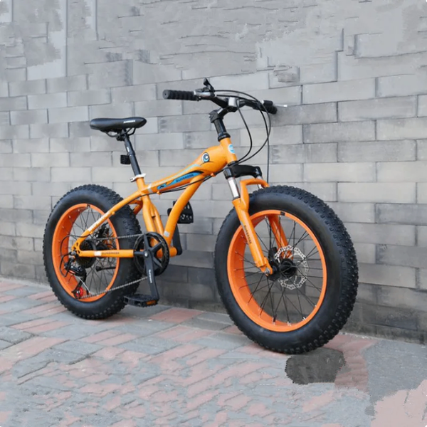 VTT Fat Bike