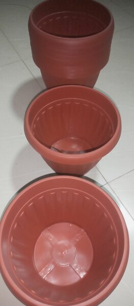 Flower Pot