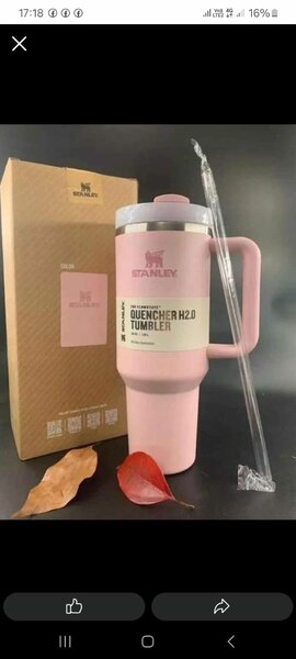 Stanley tumbler cup