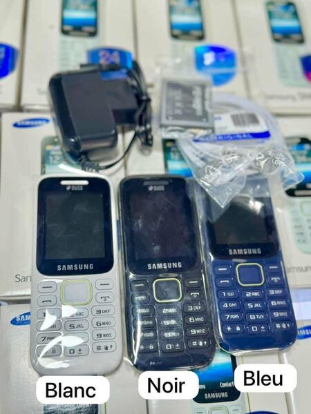 SAMSUNG B310