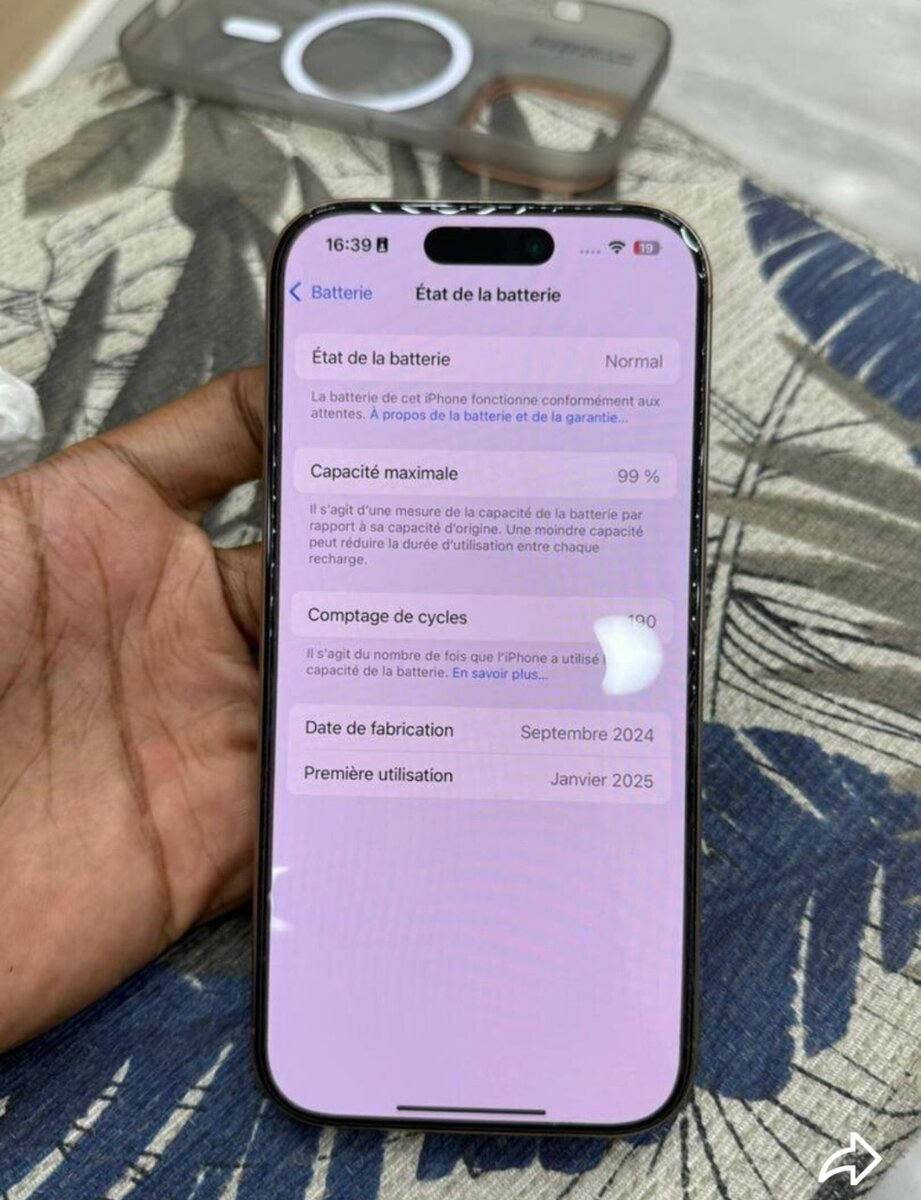 iPhone Pro Max 256GB Argent