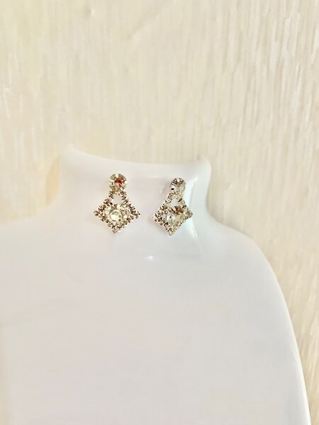 Fashion earring