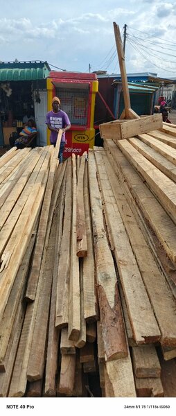 Timber