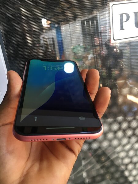 iPhone XR