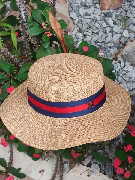 Fedora hat