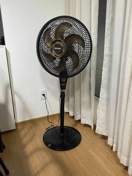 Fan's