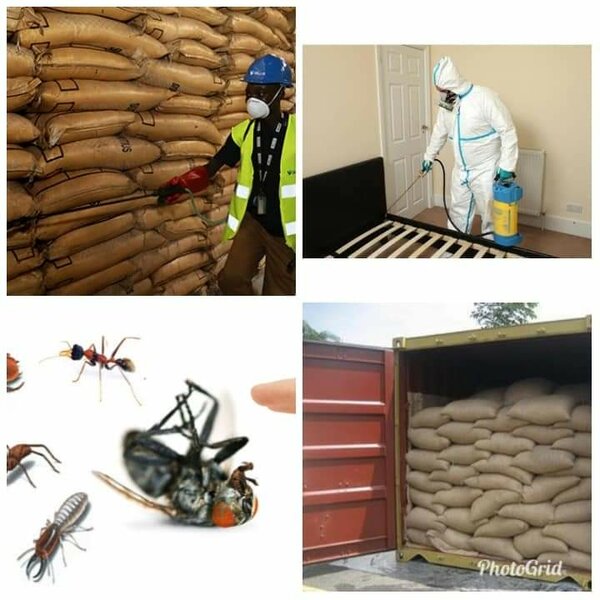 Pest Control and Fumigation Services