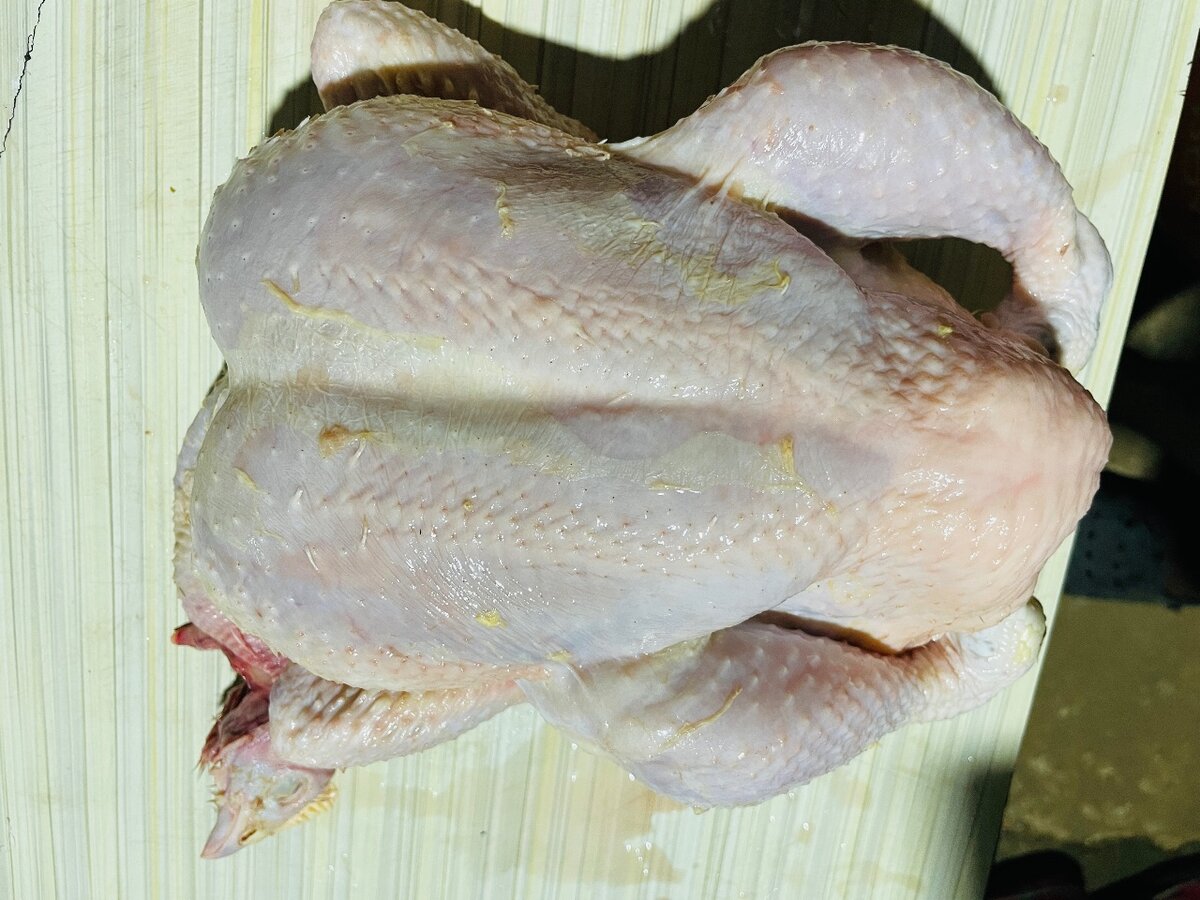 Poulet de chair