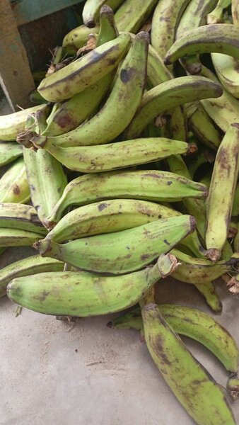 Banane
