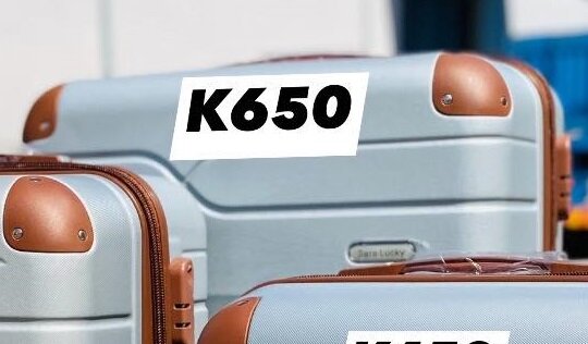 TRAVELING BAGS