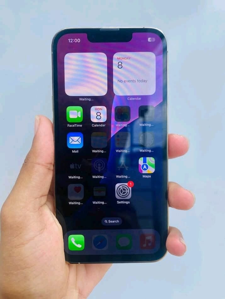 iPhone 13 Pro Max 256GB