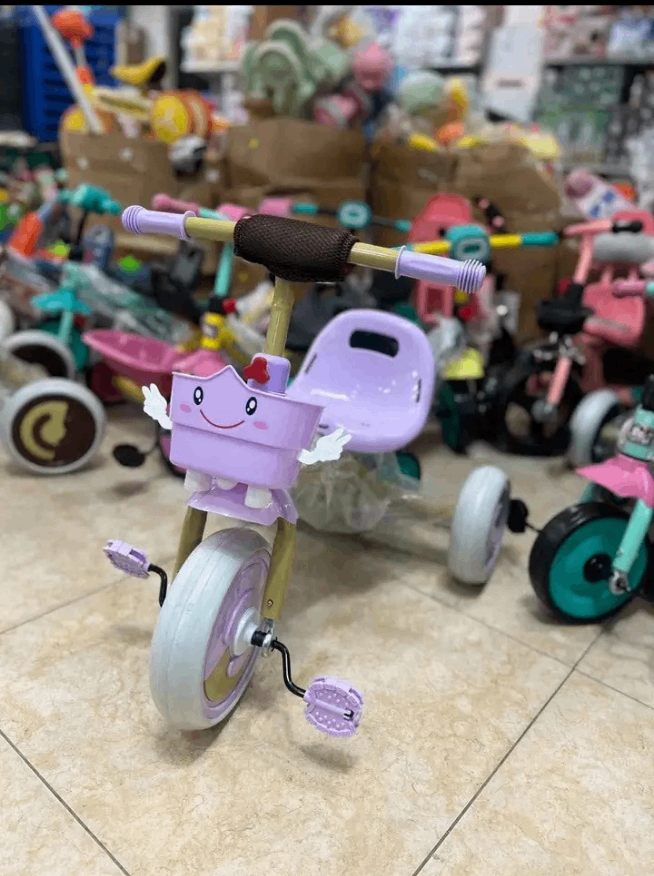Tricycle Enfant Éducatif