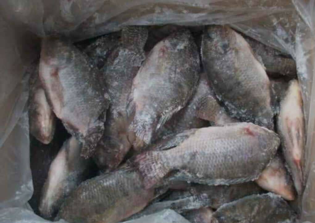 Poissons frais