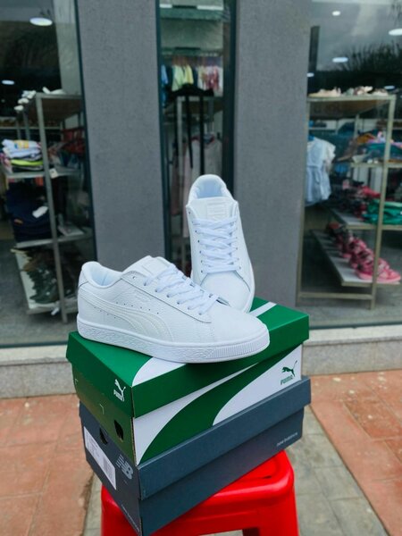 Puma