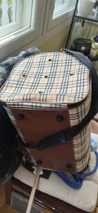 Designer Pet bag